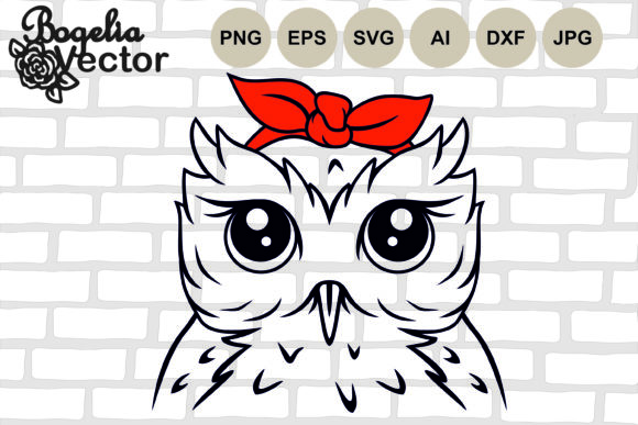 Owl with Bandana: A Designer's Real-World Review